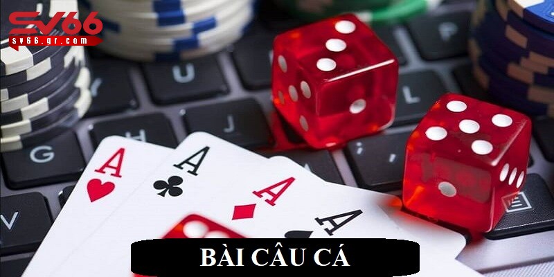 Bài câu cá