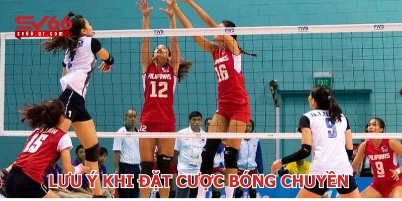 Chú ý quan trọng khi cá cược bóng chuyền cần ghi nhớ